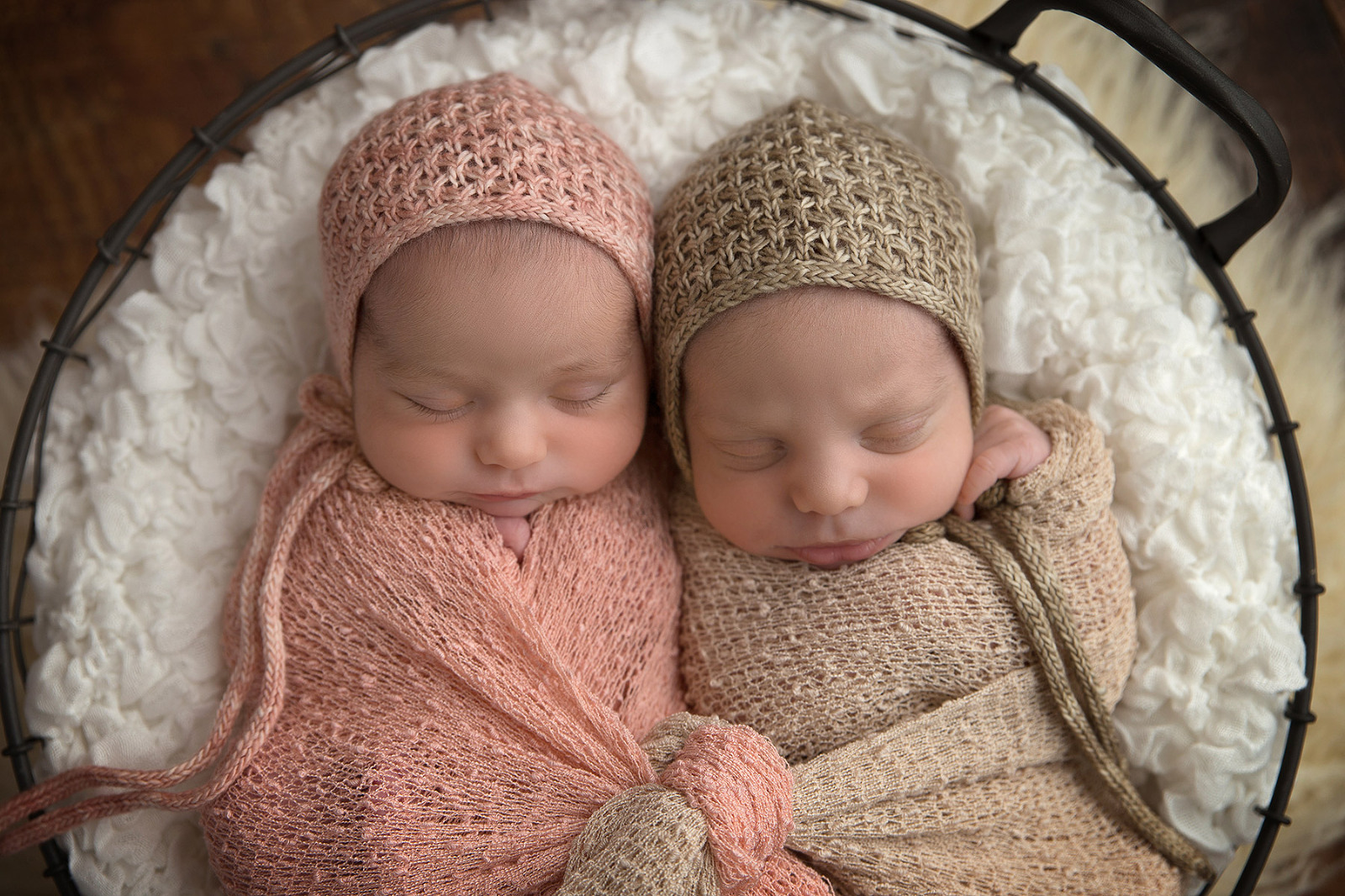 Burlington newborn photographer berries and fairies photography twins photo