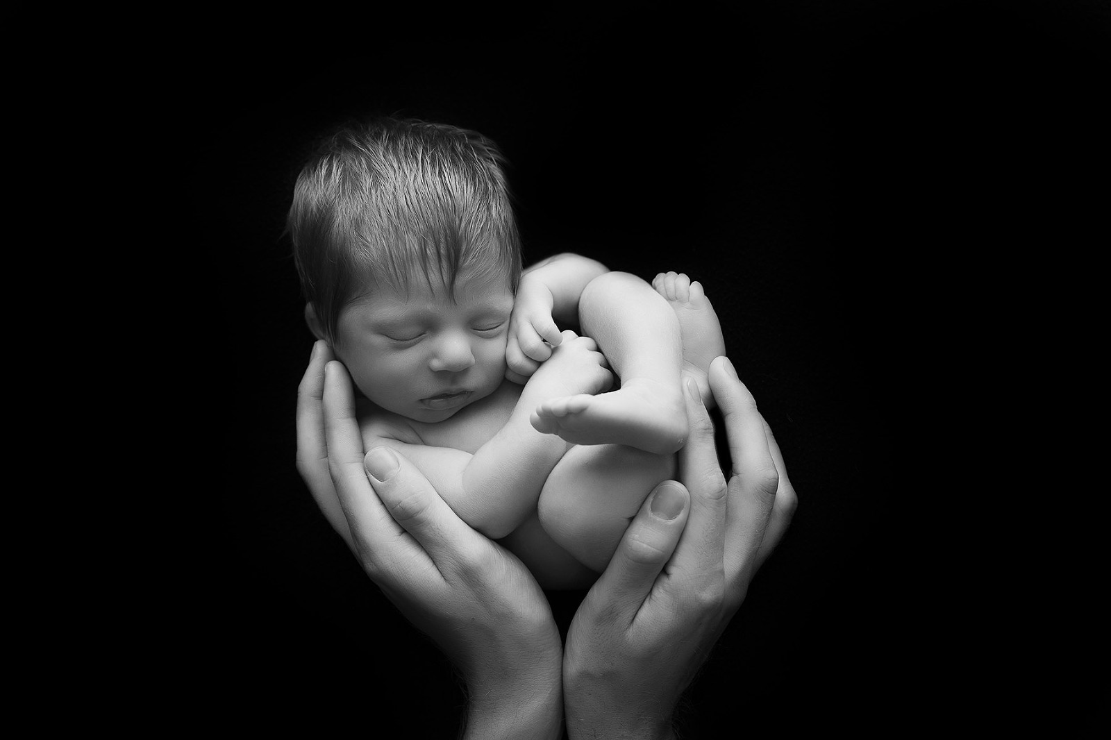 Burlington newborn photographer berries and fairies photography in daddy hands
